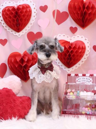 20240225ラーラちゃん